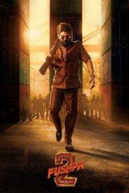 Pushpa 2 The Rule (2024) Hindi Dubbed Netflix