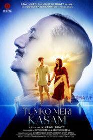 Tumko Meri Kasam (2025) Hindi PRE-HD