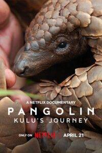 Pangolin: Kulus Journey (2025) Hindi Dubbed Netflix