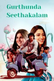 Gurthunda Seethakalam (2022) Hindi Dubbed