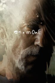 Anemone (2024) Hindi Dubbed WEBRip